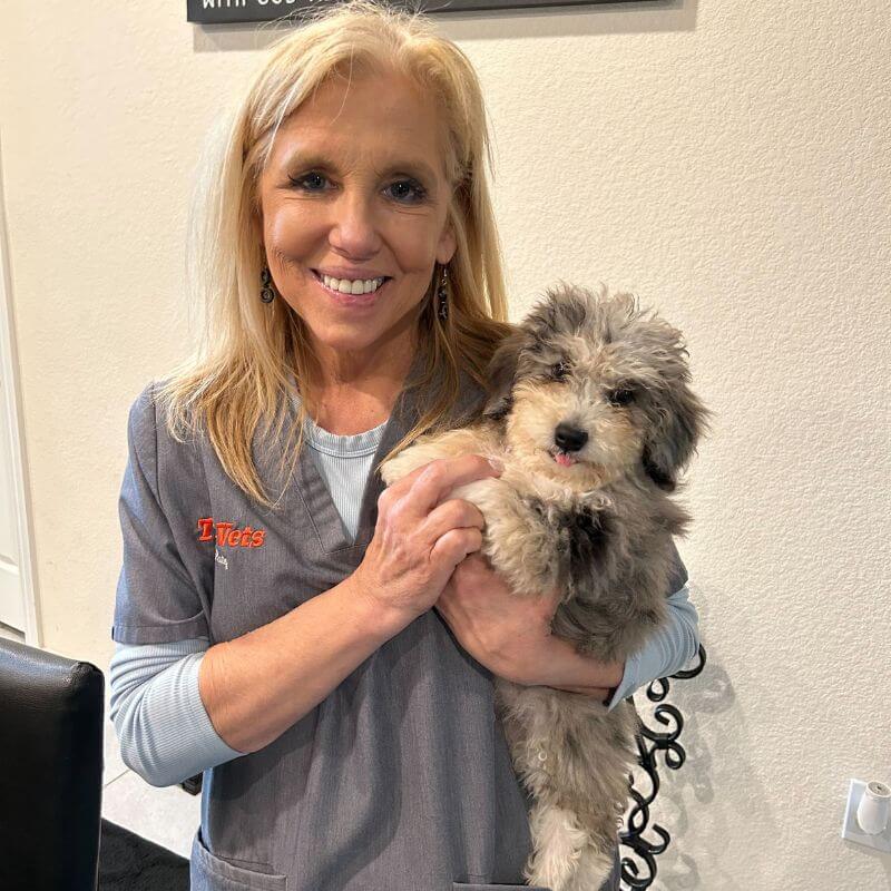 The Veterinary Nurse's Role in Heartworm Testing and Treatment